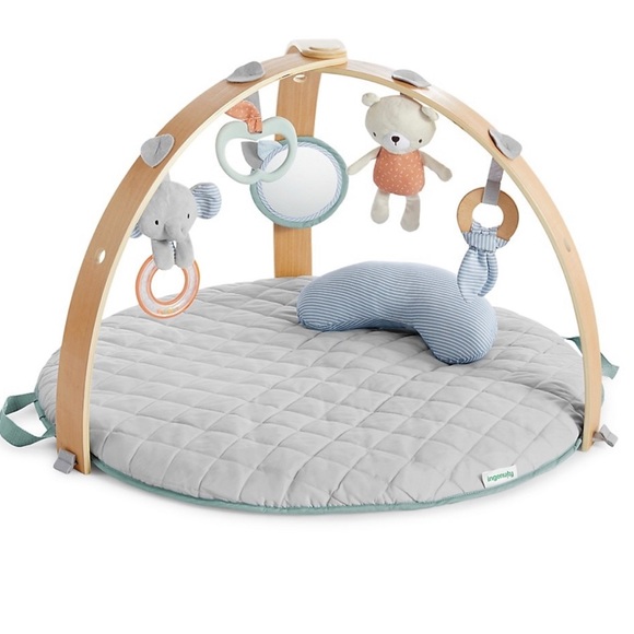 ingenuity Other - Ingenuity cozy spot reversible activity gym